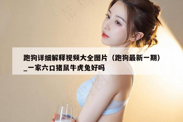 跑狗详细解释视频大全图片(跑狗最新一期)_一家六口猪鼠牛虎兔好吗